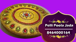 మట్టెల రాయ్ 8464000164
